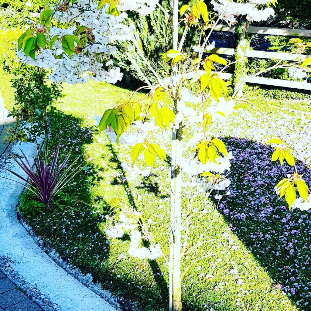 Longford home maintenance checklist